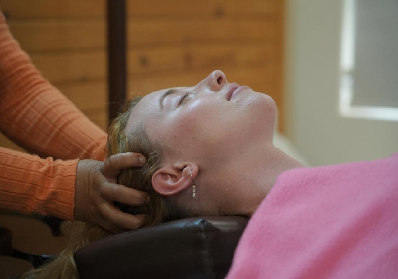 Rishīkesh Panchakarma Retreat - Earth Roots Ayurveda 빌라 외부 사진